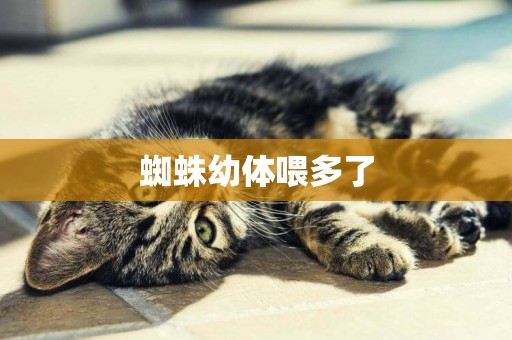 蜘蛛幼體喂多了