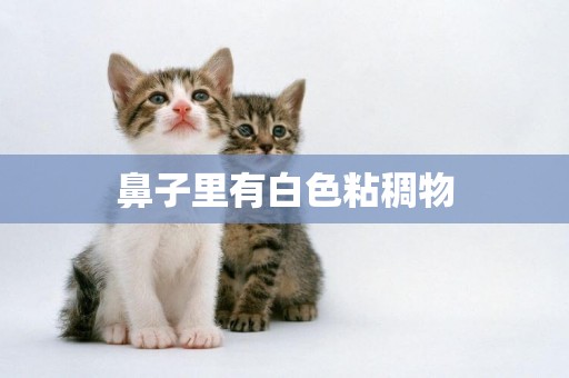 鼻子里有白色粘稠物
