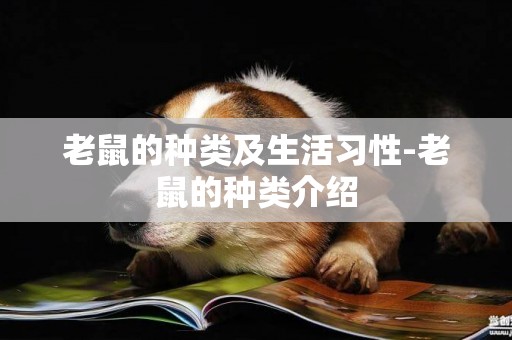 老鼠的種類及生活習性-老鼠的種類介紹