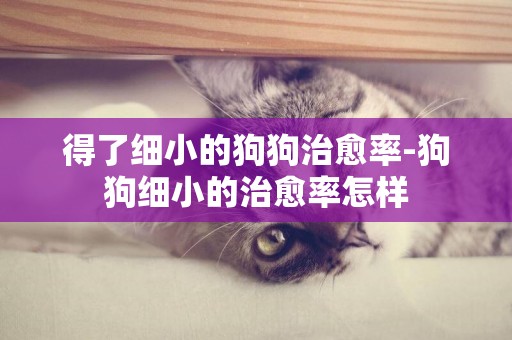 得了細小的狗狗治愈率-狗狗細小的治愈率怎樣