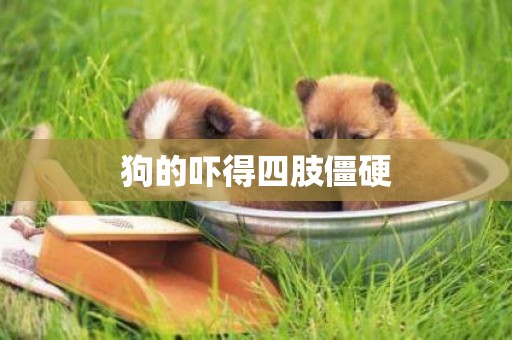 狗的嚇得四肢僵硬