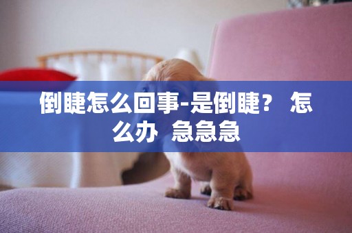 倒睫怎么回事-是倒睫？ 怎么辦  急急急