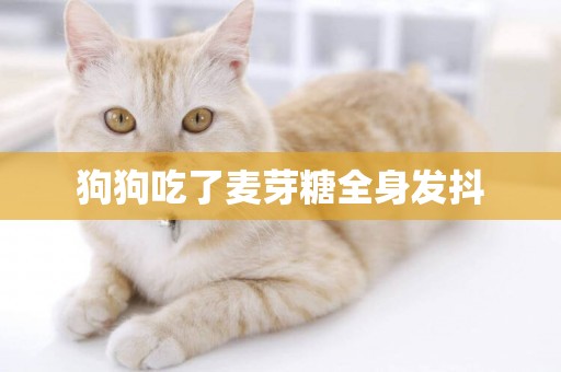 狗狗吃了麥芽糖全身發抖