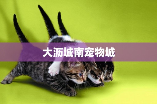大瀝城南寵物城