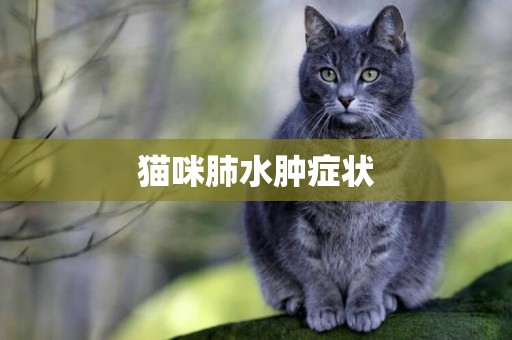 貓咪肺水腫癥狀