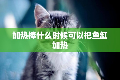 加熱棒什么時候可以把魚缸加熱