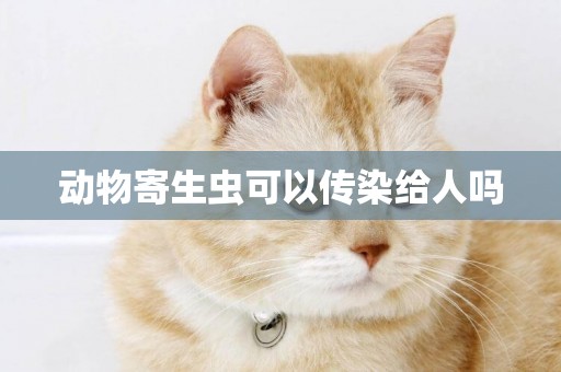 動物寄生蟲可以傳染給人嗎