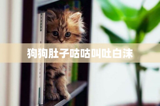 狗狗肚子咕咕叫吐白沫
