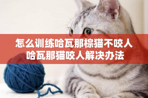 怎么訓練哈瓦那棕貓不咬人 哈瓦那貓咬人解決辦法