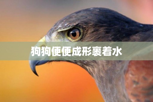 狗狗便便成形裹著水