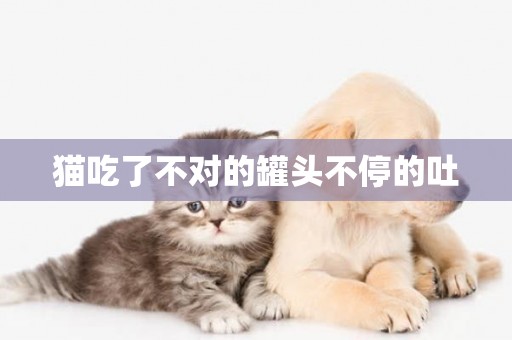 貓吃了不對的罐頭不停的吐