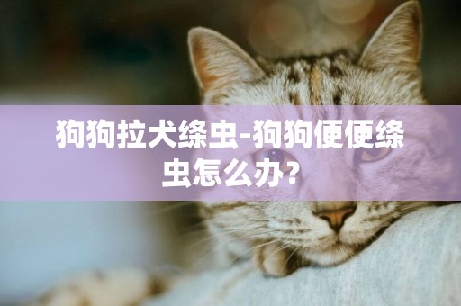 狗狗拉犬絳蟲-狗狗便便絳蟲怎么辦？