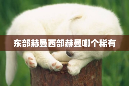東部赫曼西部赫曼哪個稀有