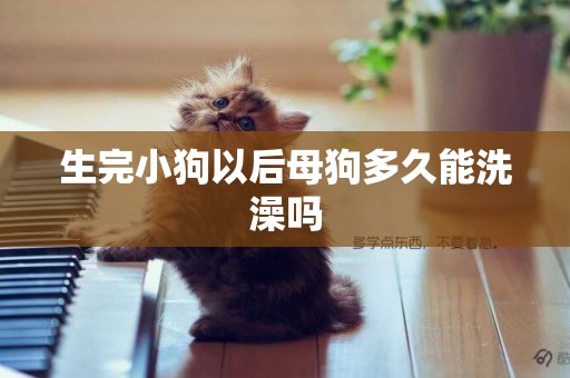 生完小狗以后母狗多久能洗澡嗎