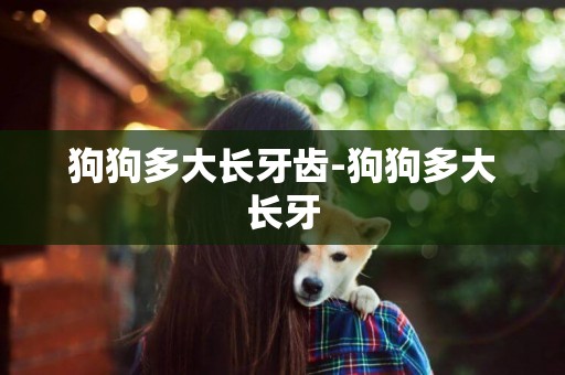 狗狗多大長牙齒-狗狗多大長牙