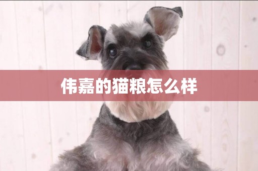 偉嘉的貓糧怎么樣