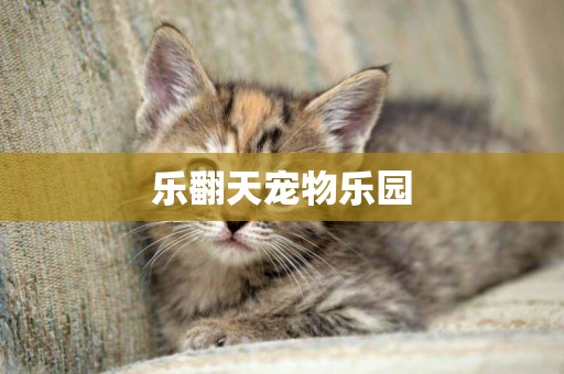 樂翻天寵物樂園