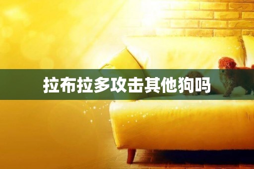 拉布拉多攻擊其他狗嗎