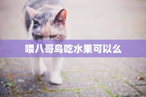 喂八哥鳥吃水果可以么