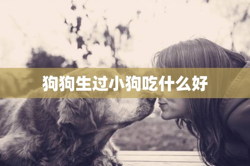 狗狗生過小狗吃什么好