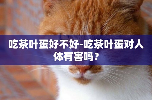 吃茶葉蛋好不好-吃茶葉蛋對人體有害嗎？