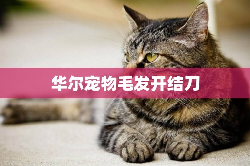 華爾寵物毛發開結刀