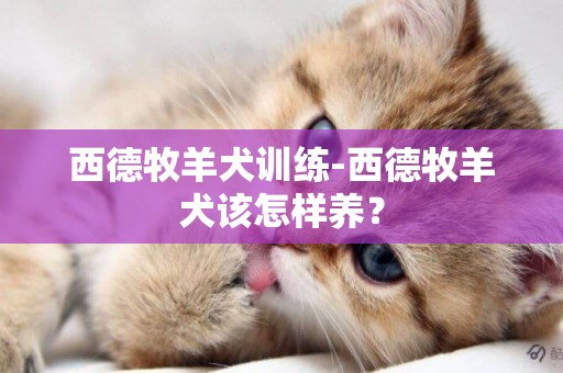 西德牧羊犬訓練-西德牧羊犬該怎樣養？