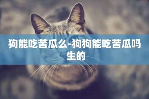 狗能吃苦瓜么-狗狗能吃苦瓜嗎 生的