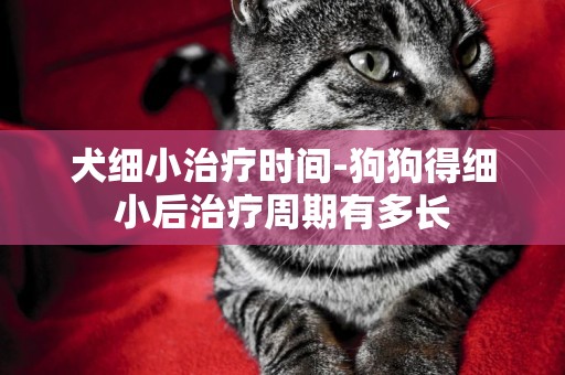 犬細小治療時間-狗狗得細小后治療周期有多長