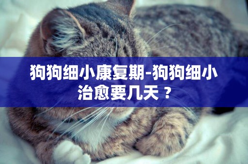 狗狗細小康復期-狗狗細小治愈要幾天 ?