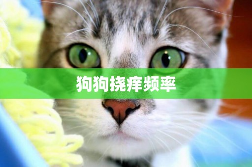 狗狗撓癢頻率