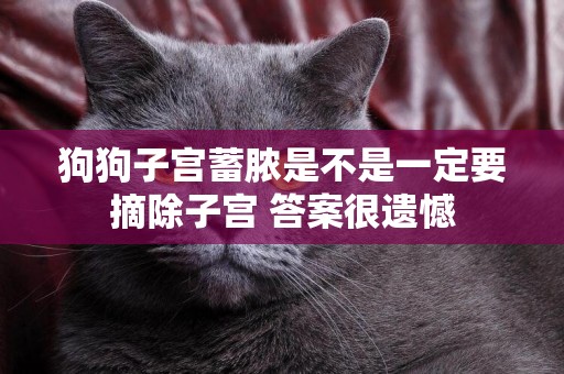 狗狗子宮蓄膿是不是一定要摘除子宮 答案很遺憾