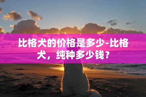 比格犬的價格是多少-比格犬，純種多少錢？