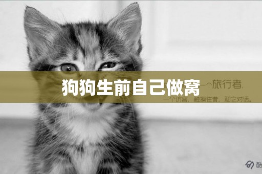 狗狗生前自己做窩