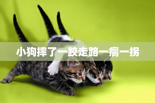 小狗摔了一跤走路一瘸一拐