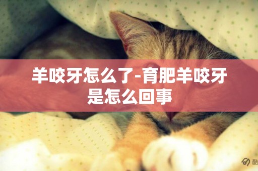 羊咬牙怎么了-育肥羊咬牙是怎么回事