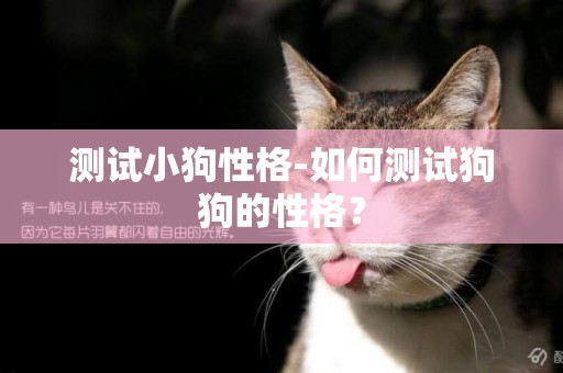 測試小狗性格-如何測試狗狗的性格？