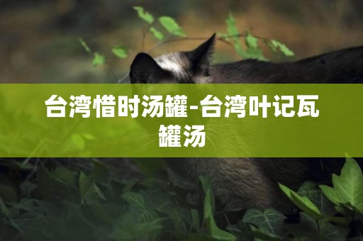臺灣惜時湯罐-臺灣葉記瓦罐湯