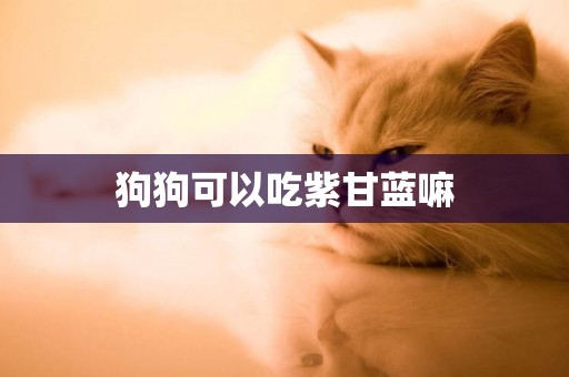 狗狗可以吃紫甘藍嘛