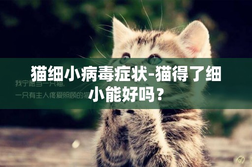 貓細小病毒癥狀-貓得了細小能好嗎？