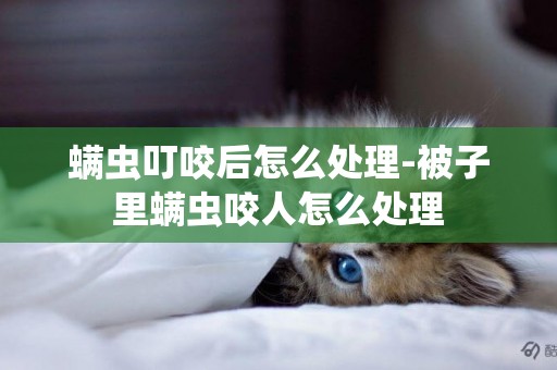 螨蟲叮咬后怎么處理-被子里螨蟲咬人怎么處理