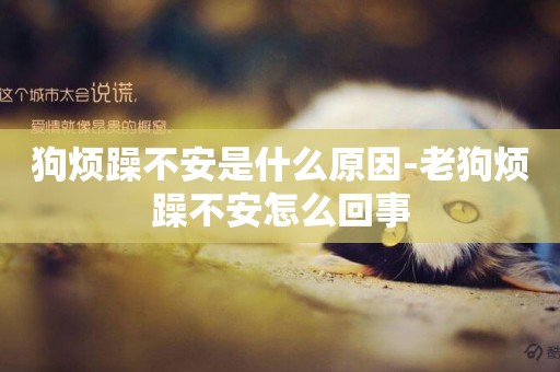 狗煩躁不安是什么原因-老狗煩躁不安怎么回事