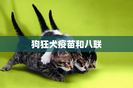 狗狂犬疫苗和八聯