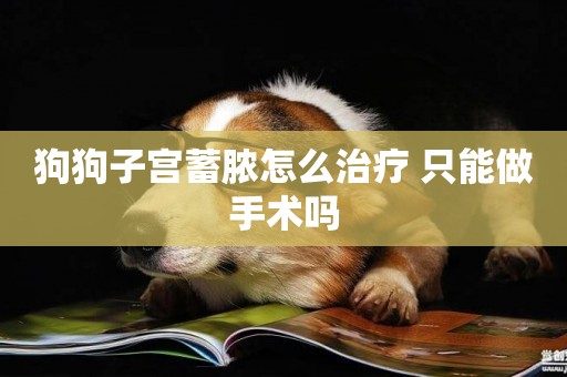 狗狗子宮蓄膿怎么治療 只能做手術嗎