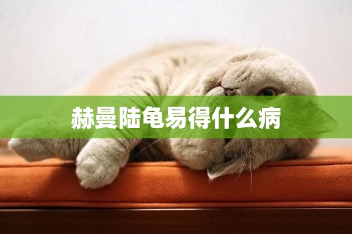 赫曼陸龜易得什么病