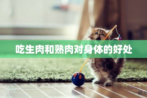 吃生肉和熟肉對身體的好處