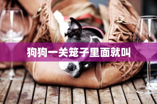 狗狗一關籠子里面就叫