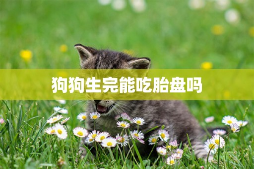 狗狗生完能吃胎盤嗎
