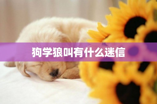 狗學狼叫有什么迷信
