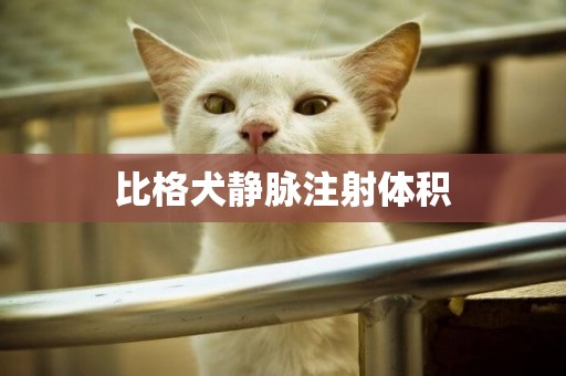 比格犬靜脈注射體積